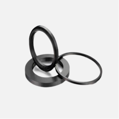 Silicon Carbide Seal Ring